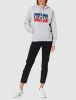 Picture of Levi's Women's Graphic Standard Hoodie