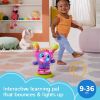 Picture of Fisher-Price DJ Bouncin Star Baby Toys