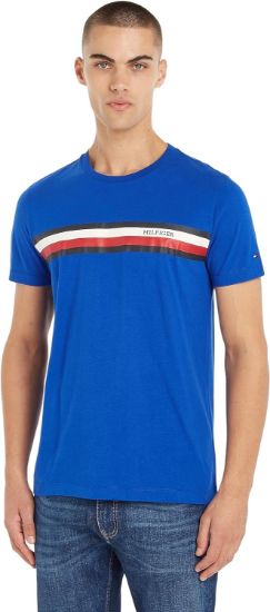 Picture of Tommy Hilfiger Men's RWB T-Shirts