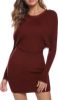 Picture of Winter Jumper Dress for Women